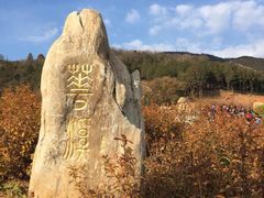 -北京西山国家森林公园