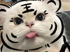 -相遇·川湘融合菜(丹阳吾悦广场店)