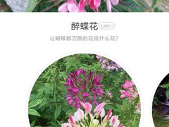 -沈阳药科大学