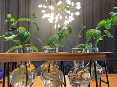 -ZING COFFEE 镜咖啡