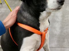 -五进制 Coffee Shop