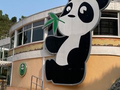 -石排湾郊野公园
