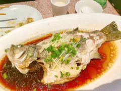 清蒸鲈鱼-红樱桃·欢乐餐厅(太原里店)