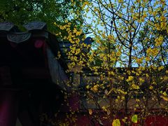 -钱王祠