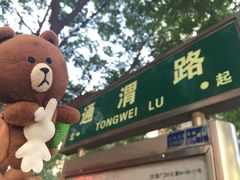马三洋芋片-马三洋芋片(兰州总店)