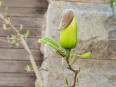 -天津东丽湖风景区