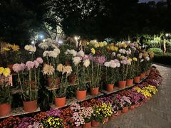 -西湖公园(鼓楼区)