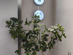 -静宜和她的朋友(星海广场店)