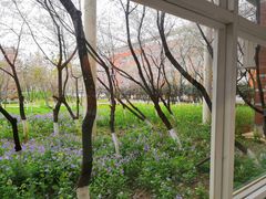 -南京外国语学校(仙林分校西区)