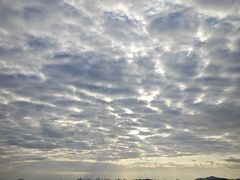 -周正水煮活鱼·吊水鱼(万科店)