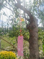 -优沃得自然教育农场·冰雪乐园·生日会·研学