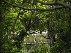 -燕晗山郊野公园