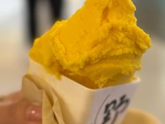 -野人先生现做冰淇淋(北京王府井东方新天地店)
