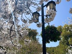 -苏州上方山国家森林公园
