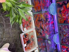 -曲阳花鸟市场(曲阳路店)