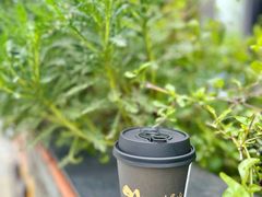 -一叶觅山(半边街店)