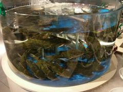 -小平岛開海水饺(浑南店)