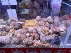 -新官园花鸟鱼虫市场(皖西大厦店)