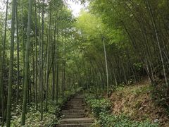 -潜山国家森林公园