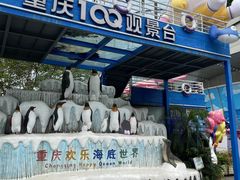 -重庆欢乐海底世界