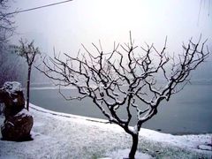 upload_pic-西海子公园