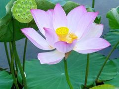 -梅州天地人花园酒店(梅县人民广场店)