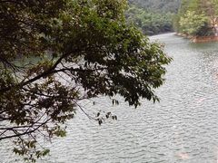 -石台牯牛降景区
