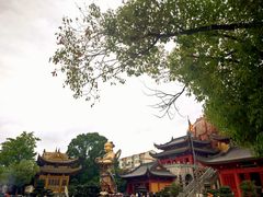 -上海东林寺(金山区)