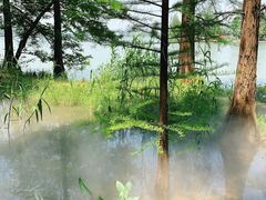 -东湖落雁景区