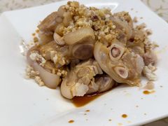 -百利鸽王(紫薇路店)