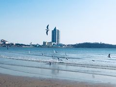 -青岛第三海水浴场
