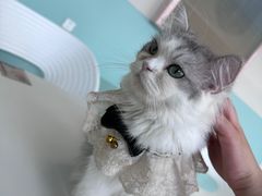 -怪兽屋·羊驼·猫咖·狗咖(俊华广场店)