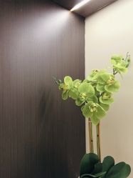 -CRAIE可瑞医美式医美·111SKIN