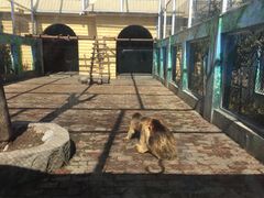 -西安秦岭野生动物园