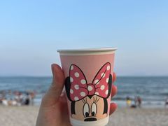 -玫瑰海岸文化旅游度假区