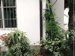 -家烧面馆【南山路知名经典面食】