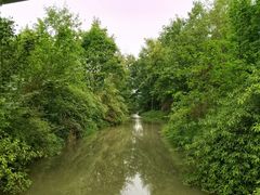 -桤木河湿地公园