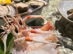 -普朗姆生蚝吧(原建国路店)