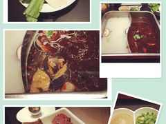 新辣道鱼火锅(国瑞城店)-新辣道鱼火锅(国瑞城店)