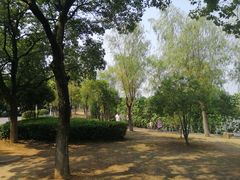 -艾溪湖湿地公园