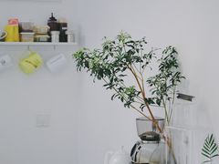 -五进制 Coffee Shop