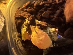 -纯坊佳哥手作(江汉路店)