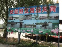 -白洋淀景区