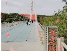 -沈阳鸟岛