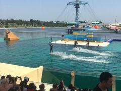 -秦皇岛乐岛海洋王国