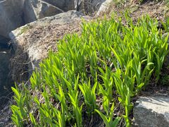-秦岭终南山世界地质公园翠华山景区
