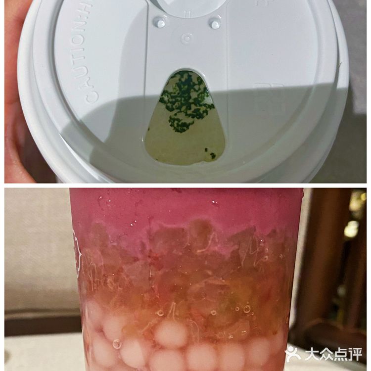 茶理宜世新品测评|莺莺&孔雀