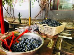 -钰田大院·碳烤虹鳟鱼·怀柔地道农家菜(雁栖湖店)