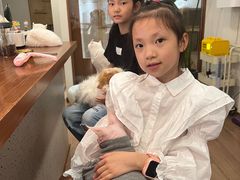 -有猫主题·治愈系猫咖(曾厝垵店)