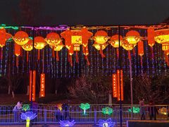 -武汉园博园(武汉自然博物馆)